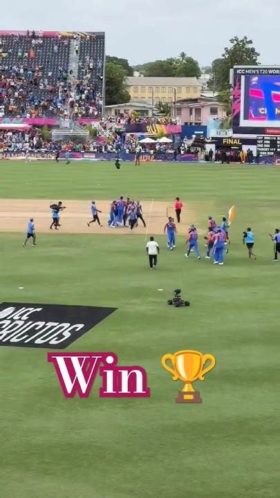 Final India 🇮🇳 Win 🏆 T20worldcup T20worldcup India Cricket