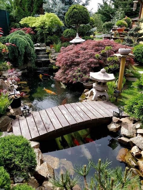 Japanese garden design - 70 photo