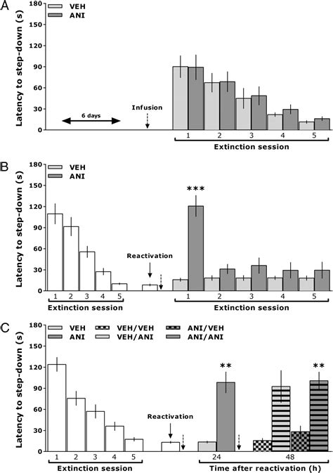 Retrieval Induces Reconsolidation Of Fear Extinction Memory Pnas