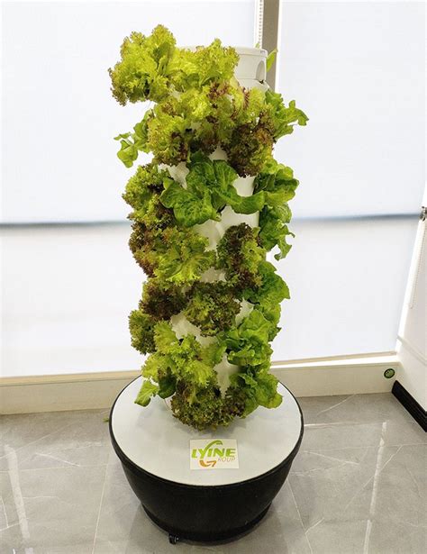 Lyine Vertical Farming Tower Hydroponic System Hydroponic Tower With