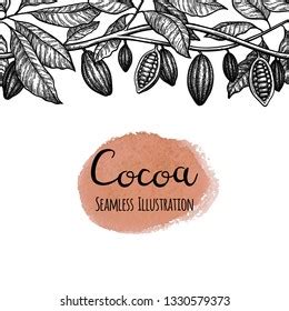 4,366 Cocoa tree drawing Images, Stock Photos & Vectors | Shutterstock