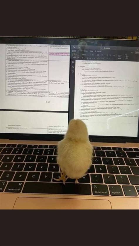 A Small Bird Sitting On Top Of A Laptop Keyboard