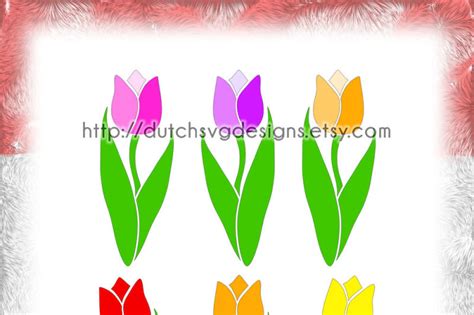 Dutch Tulip Cutting File With Example In Png Studio3 SVG EPS DXF