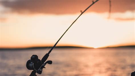 Best Ultralight Fishing Rods For A Great Time In