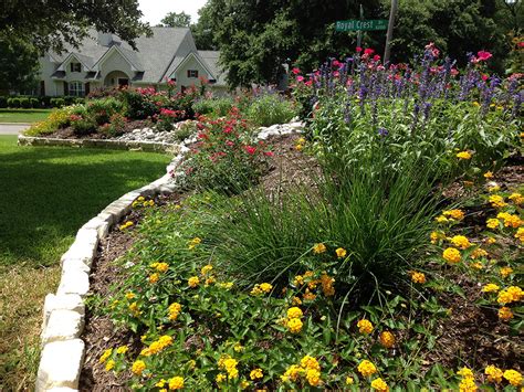 Privacy Berm Landscape Bed Traditional Landscape Dallas By