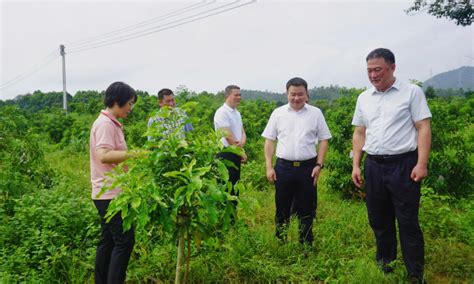 松柏镇：阳江市领导方小勇到镇开展防汛抗洪救灾复产调研工作