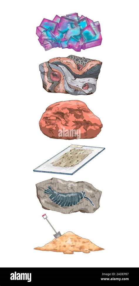 Geology Fields Conceptual Illustration From Top To Bottom Are