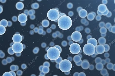blue cells illustration stock image  science photo library