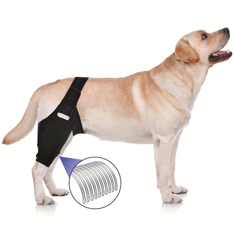 Jzshichaocar Adjustable Large Canine Dog Knee Brace For Strong Joint