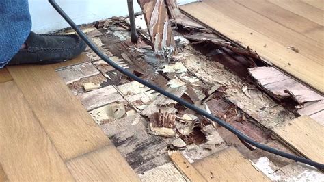 6blacken Plywood Caused By Water Damage Youtube