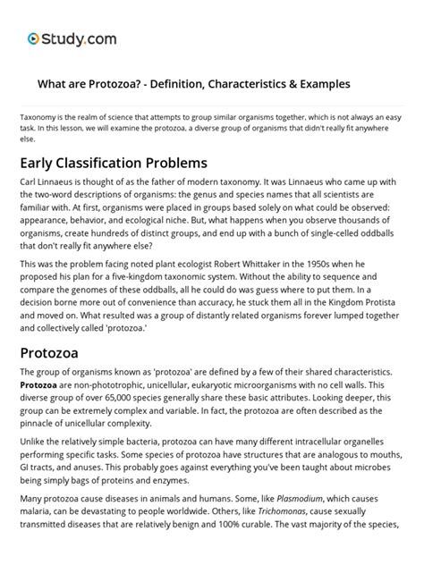 Lesson 01 What Are Protozoa - Definition, Characteristics & Examples ...