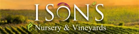 About Isons Isons Nursery And Vineyard