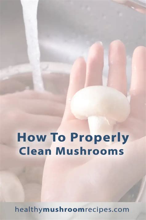 How To Properly Clean Mushrooms - More Mushrooms Please!
