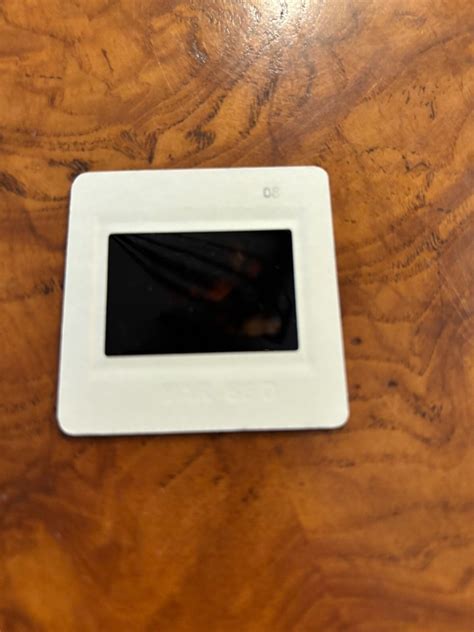 PLAYBOY PHOTO SHOOT Nude Girls Of SEC BIG 12 ACC 35MM Slide 1569 EBay