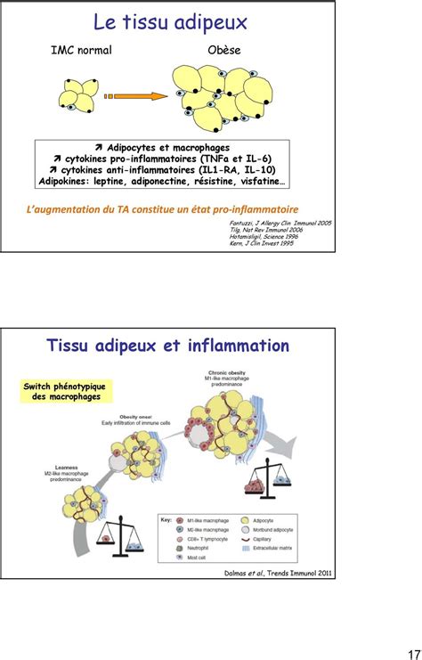 Dr Ottaviani Service De Rhumatologie H Pital Bichat Staff Du Mai Pdf