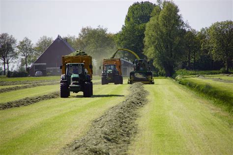 John Deere Gras Hakselen Met Een John Deere Pro Drive