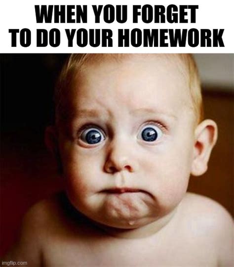 Homework Imgflip