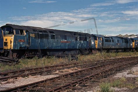 Rail Online Class 52 Western D1057 1976 Swindon Works