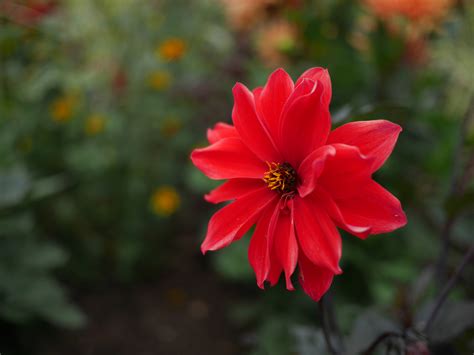 Panasonic LUMIX GX7 Sample Images | Photography Blog
