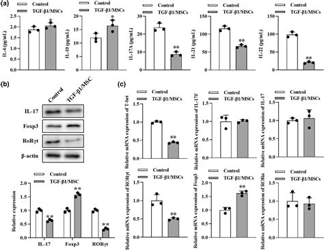 Tgf β1 Overexpressing Mesenchymal Stem Cells Reciprocally Regulate Th17