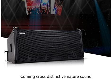 Vera Dual Inch Line Array Skytone Audio