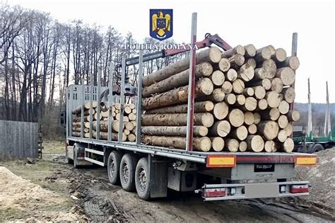 Zeci De Sanc Iuni N Arge Privind Transportul Ilegal De Lemne