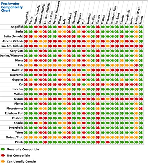 Freshwater Fish Compatibility Charts - Buy Freshwater Fish Online | The iFISH Store