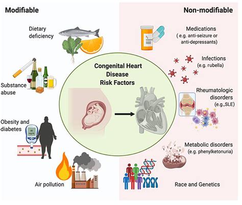 frontiers race  genetics  congenital heart disease application
