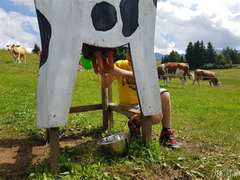 Alpe Di Siusi Estate Una Giornata Per Malghe Con Bambini Viaggi Da Mamme