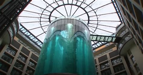 Massive Aquarium Housing 1500 Fish Bursts In Hotel Lobby Injuring 2