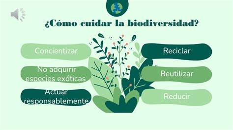 COMO CUIDAR LA BIODIVERSIDAD YouTube