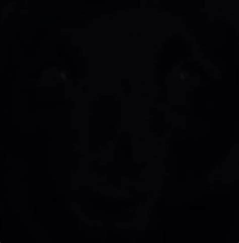 WHAT THE ACTUAL FUCK IS THIS Context In Comments I Swear It S Ultrakill Related R Ultrakill