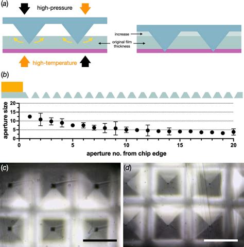 Iucr Micro Structured Polymer Fixed Targets For Serial