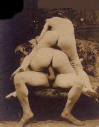 Vintage Amateur Porn Porn Pics Pictoa