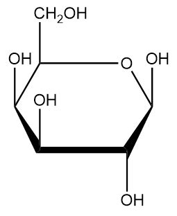 Carbohydrates Structure