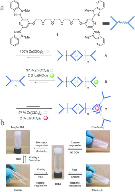 A Schematic Representation Of The Formation Of Metallo Supramolecular