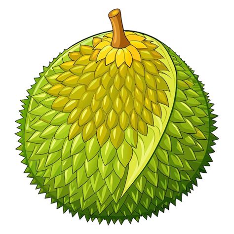 Jackfruit Organic Fruit Vector Illustration Premium AI Generated Vector