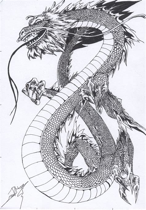 Eastern Dragon Drawing