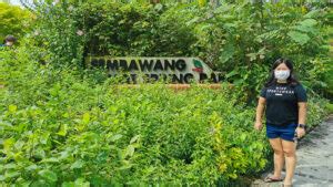 Complete Guide For Visiting Sembawang Hot Spring Park Singapore