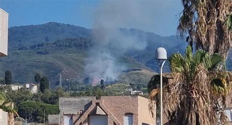 Incendio A Villafranca Biancuzzo Colpa Di Piromani Malati Messina