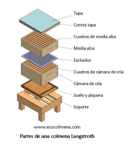 Tipos De Colmenas Rendimientos Y Consumos De Cera Ecocolmena Cajas