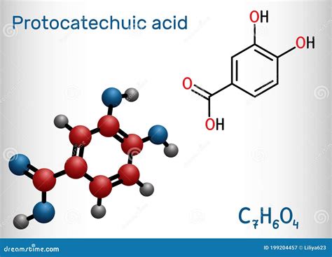 Protocatechuic Acid Pca Molecule It Is 3 4 Dihydroxybenzoic Phenolic Acid Metabolite Of