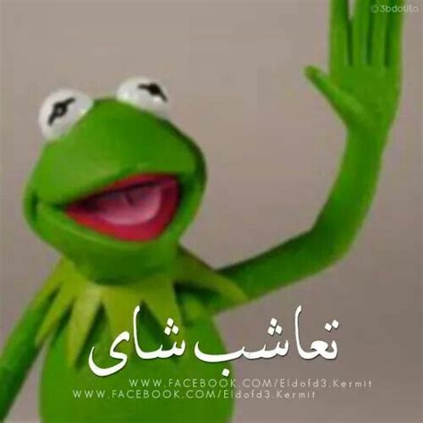 تعاشب شاى | Arabic funny, Funny comments, Funny frogs