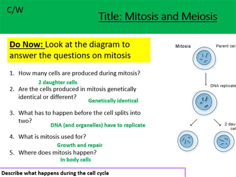 Cell Division | Teaching Resources