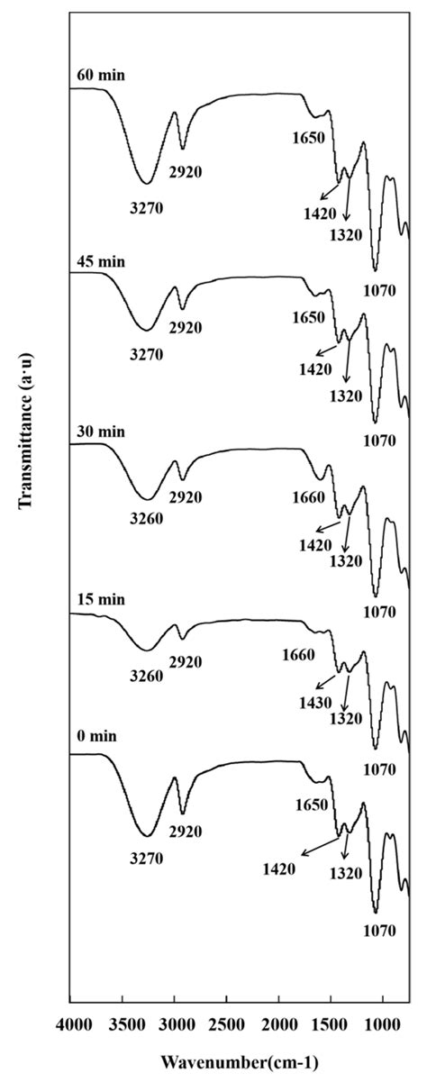 Ftir Spectra Of Pvacmczno Npsxgnp Zno Npsxgnp 55 Composite