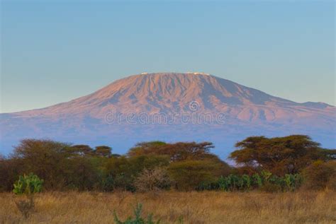 Top of Kilimanjaro Mountain in the Sunrise Stock Image - Image of park ...