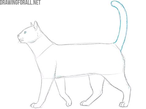 how to draw animal legs