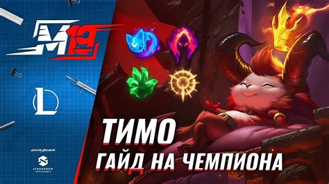 Гайд на Тимо | Лига Легенд [8 сезон] - YouTube