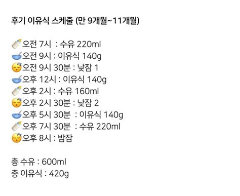 78개월 중기이유식 스케줄 진행 기록 9개월 아기 후기 이유식 스케줄 계획 분유량 수면 시간 낮잠 밤잠 네이버 블로그