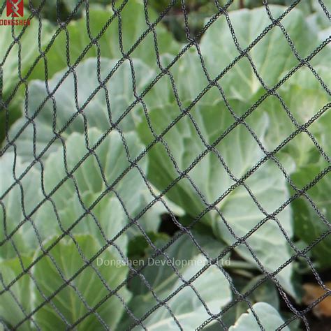 Mm Diamond Mesh Hdpe Uv Stabilised Anti Bird Netting Fruit Crops